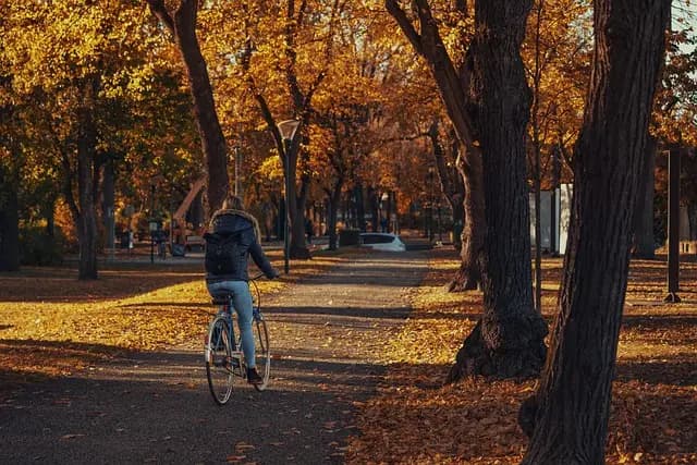 How to Plan a Perfect Day of Fun Activities