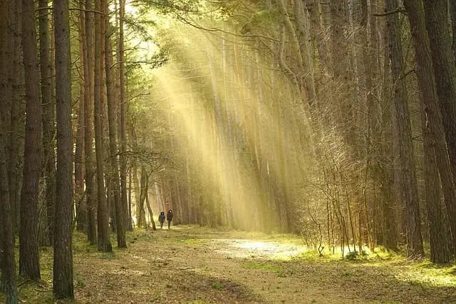 10 Iconic Outdoor Activities for Family Bonding