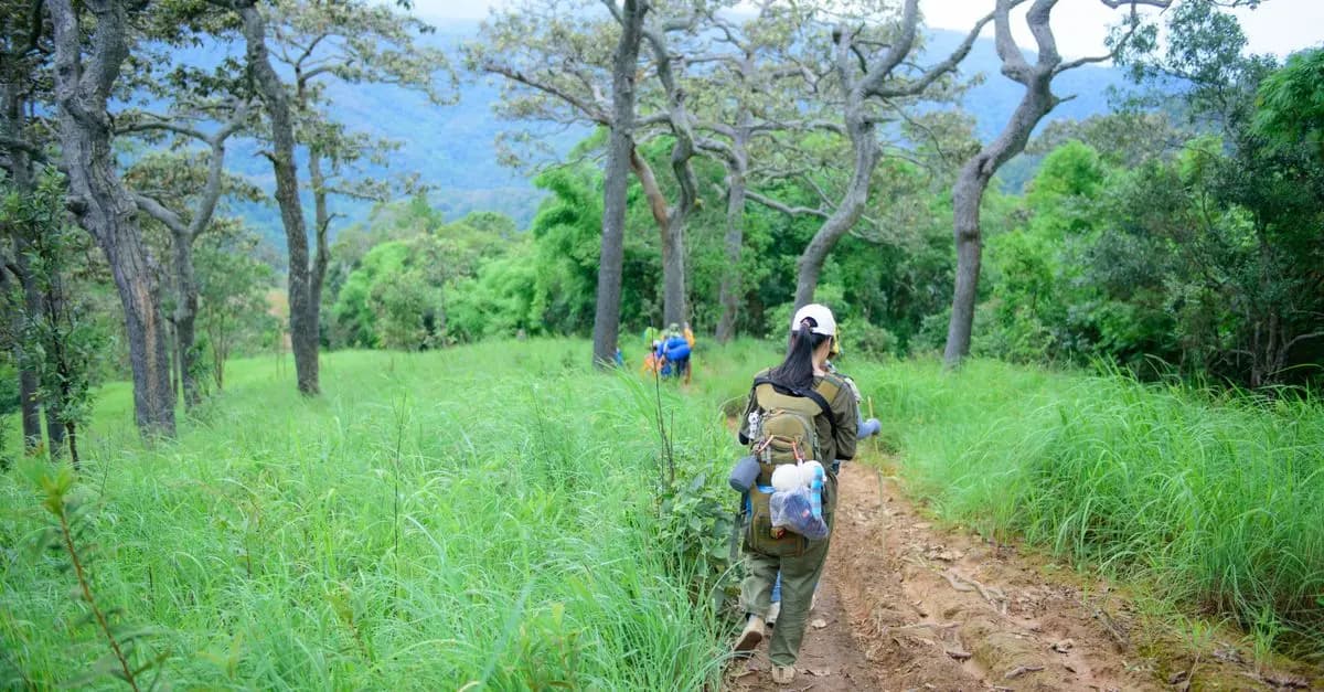 The Benefits of Hiking for Beginners