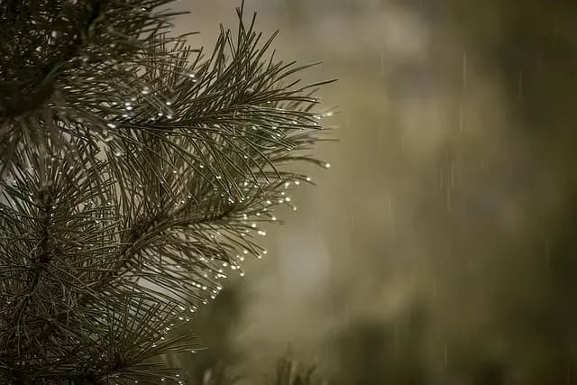 10 Unique Fun Activities to Try on a Rainy Day