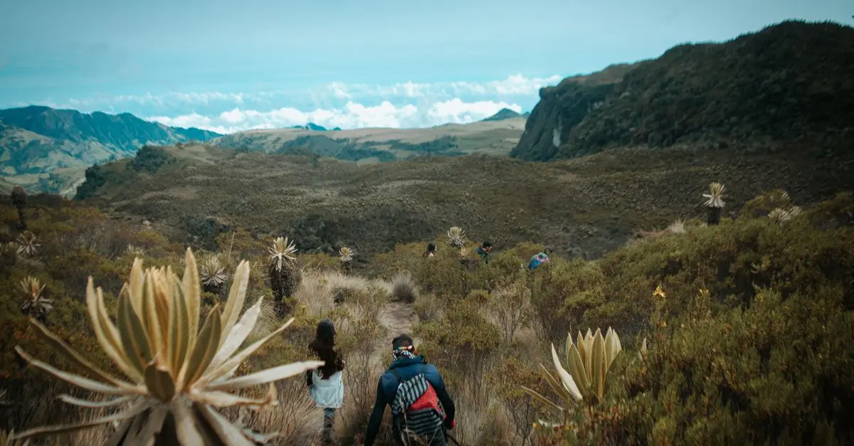 Exploring Adventure Travel Trends in 2026