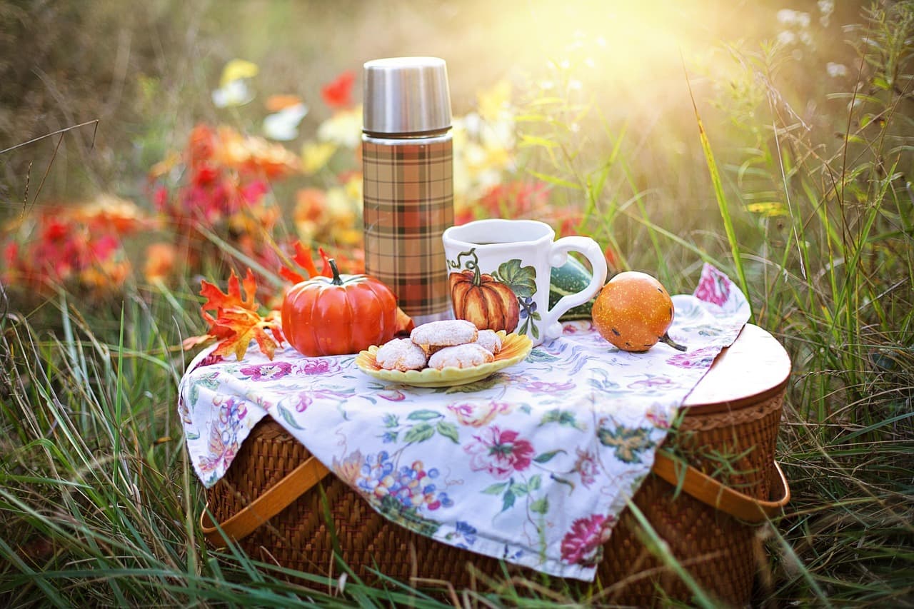 The Ultimate Guide to Organizing a Fun Outdoor Picnic